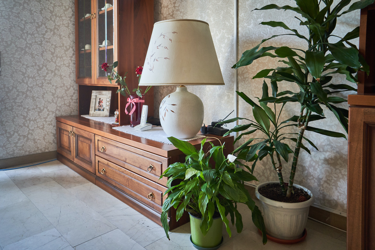 immagine lampada della casa famiglia il giardino